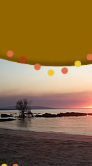 Kakadu Tours