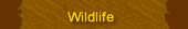 Wildlife