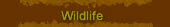 Wildlife